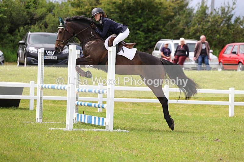 3E7A7700 - Class 13: Senior British Novice/90cm open