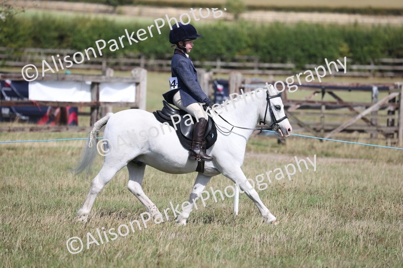 20260906-2584 - Class 18 - Childs First Pony