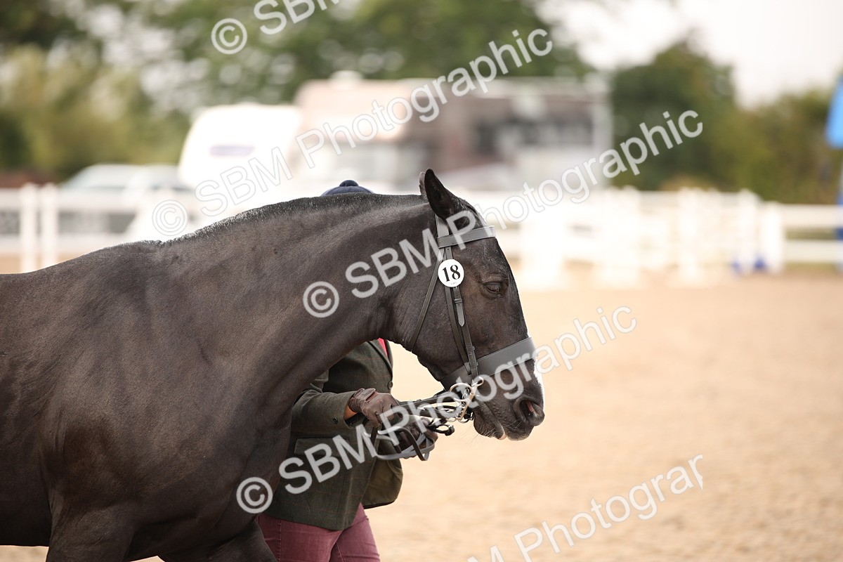 SBM_21489 - Class 706 - IH  Veteran