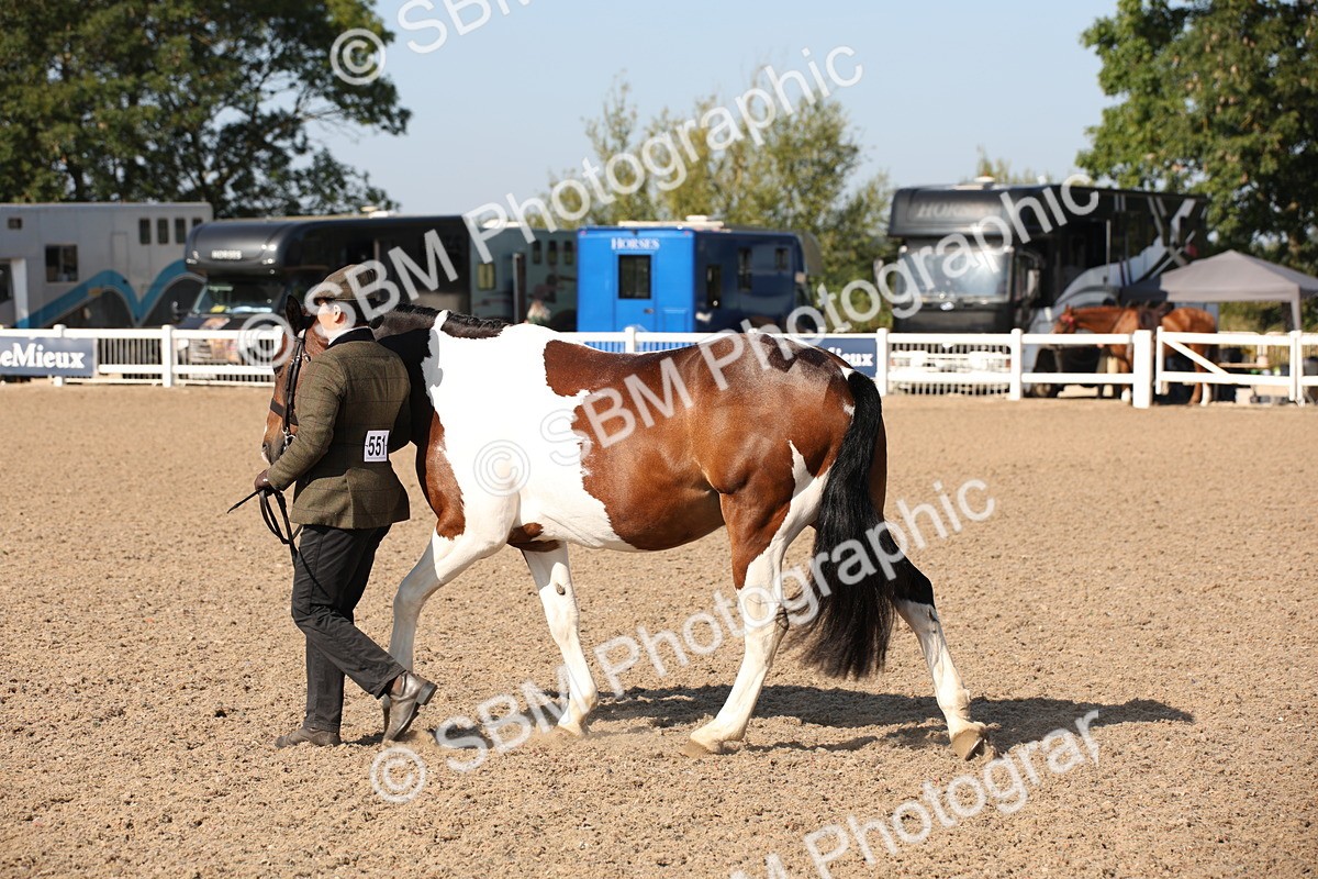 SBM_01520 - Class 15 IH Coloured