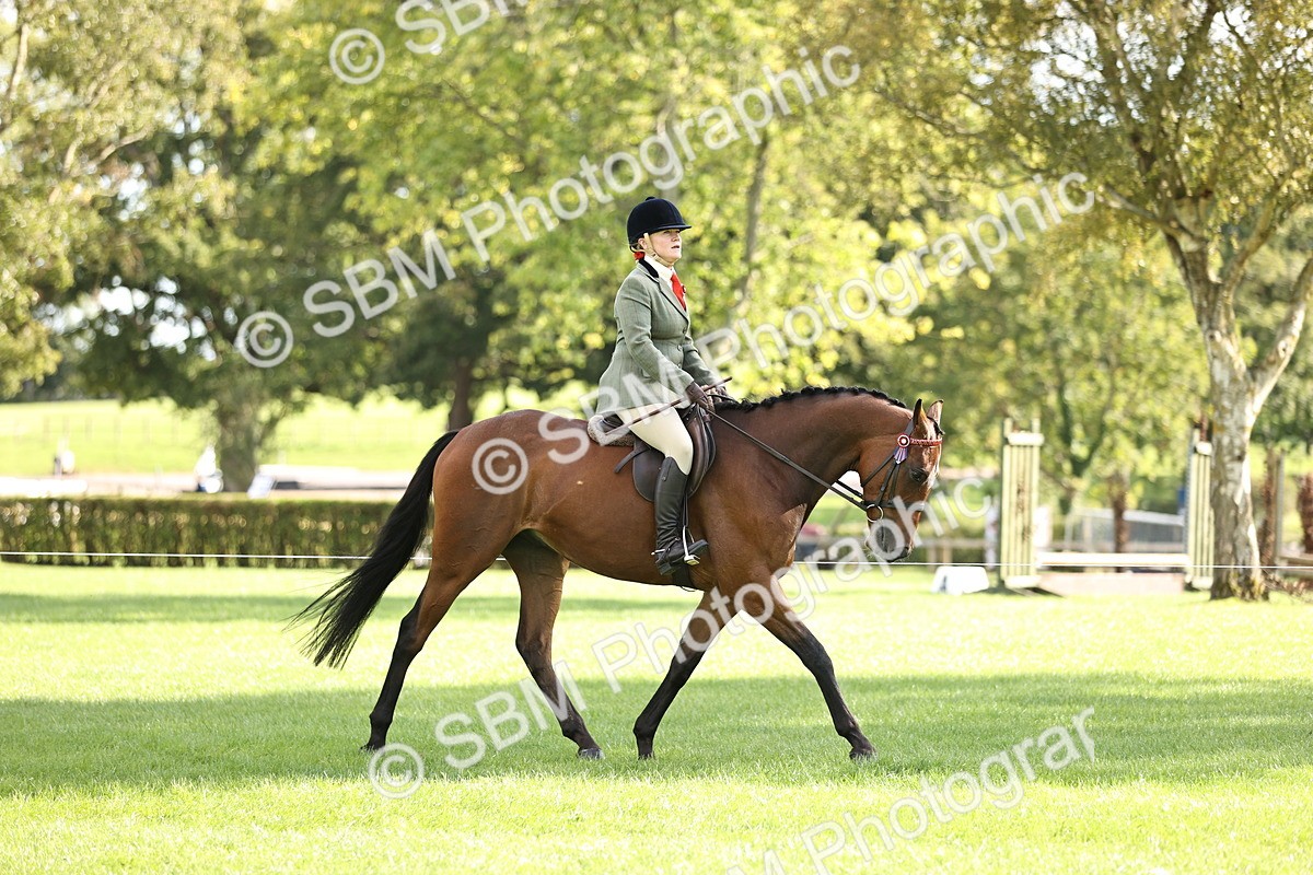 SBM_26370 - S6 - Novice & Newcomers Ridden Horse