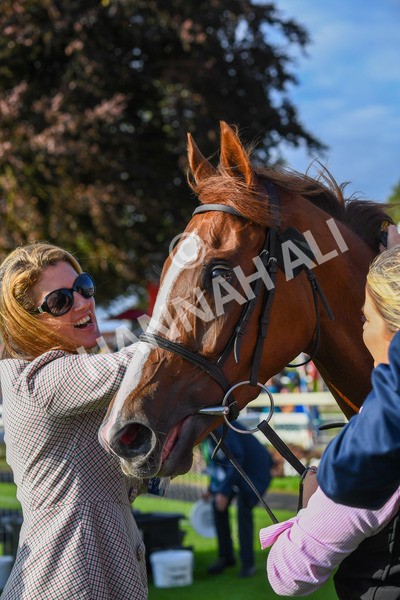 240823-Race 7-Nigiri-0928 - Race 7 5.20pm British EBF 40th Anniversary Fillies' Handicap