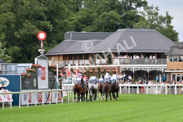yr23072022r5-21 - Race 5 4.25pm Sky Bet UK's No1 Betting App Stakes