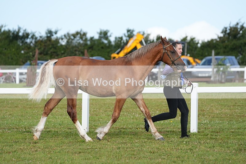 DSC04876 - Class 47: NPS M&M Yearling