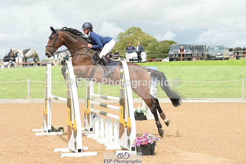 230813A-132900-13253 - Cls 49 Chard Eq 5yr Old Championship