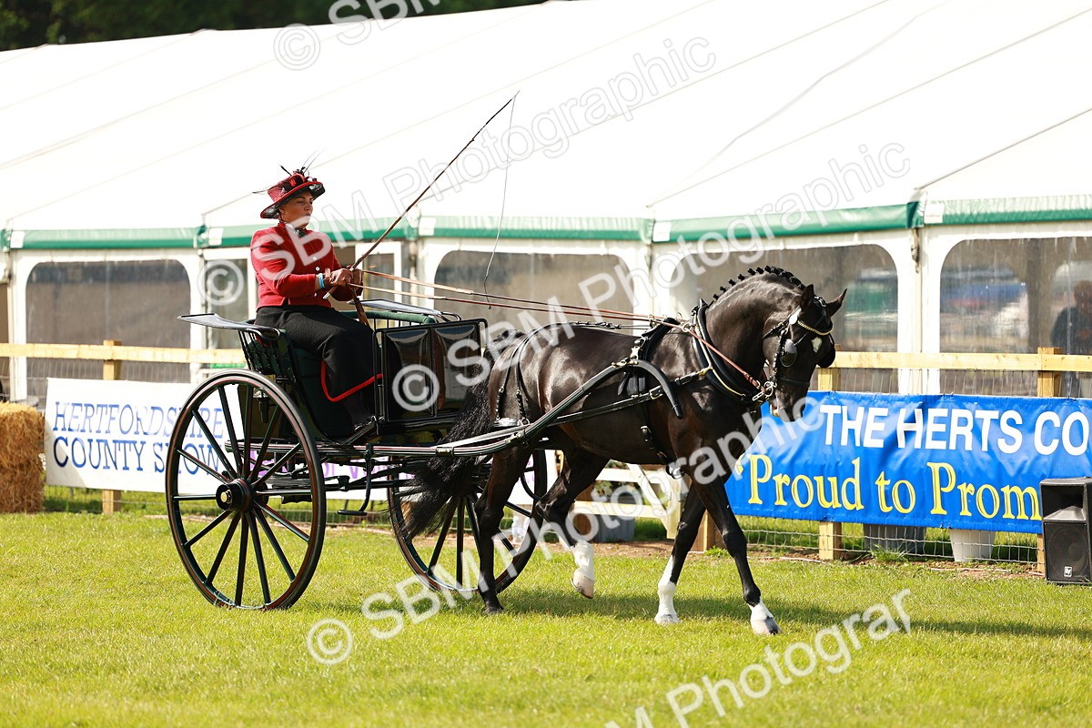 SBM_01135 - Class 2-4 - HOYS Private Driving