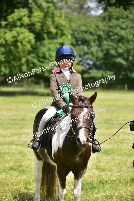 20260614-1413 - Class 11b - Lead Rein Pony (Plaited)