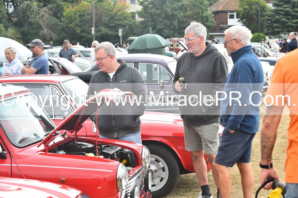 SH4_8818 - Torbay Old Wheels Club