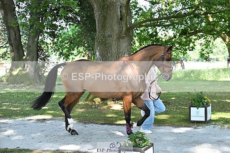 250521A-154641-00753 - B-364-Yasmin.Ingham-KINDA.CORVETTE