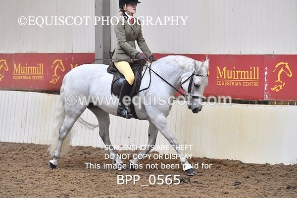 BPP_0565 - RING 2