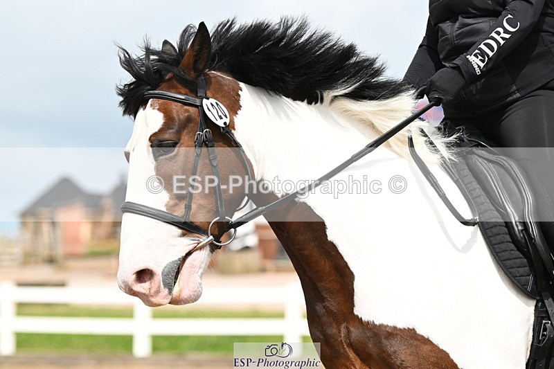 240621A-155331-05048 - Cls 5 MyQuest Prelim 12