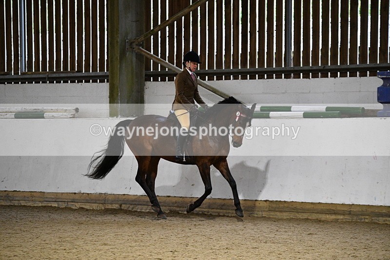 WJ5_8790 - Class 15 Ridden Show Horse