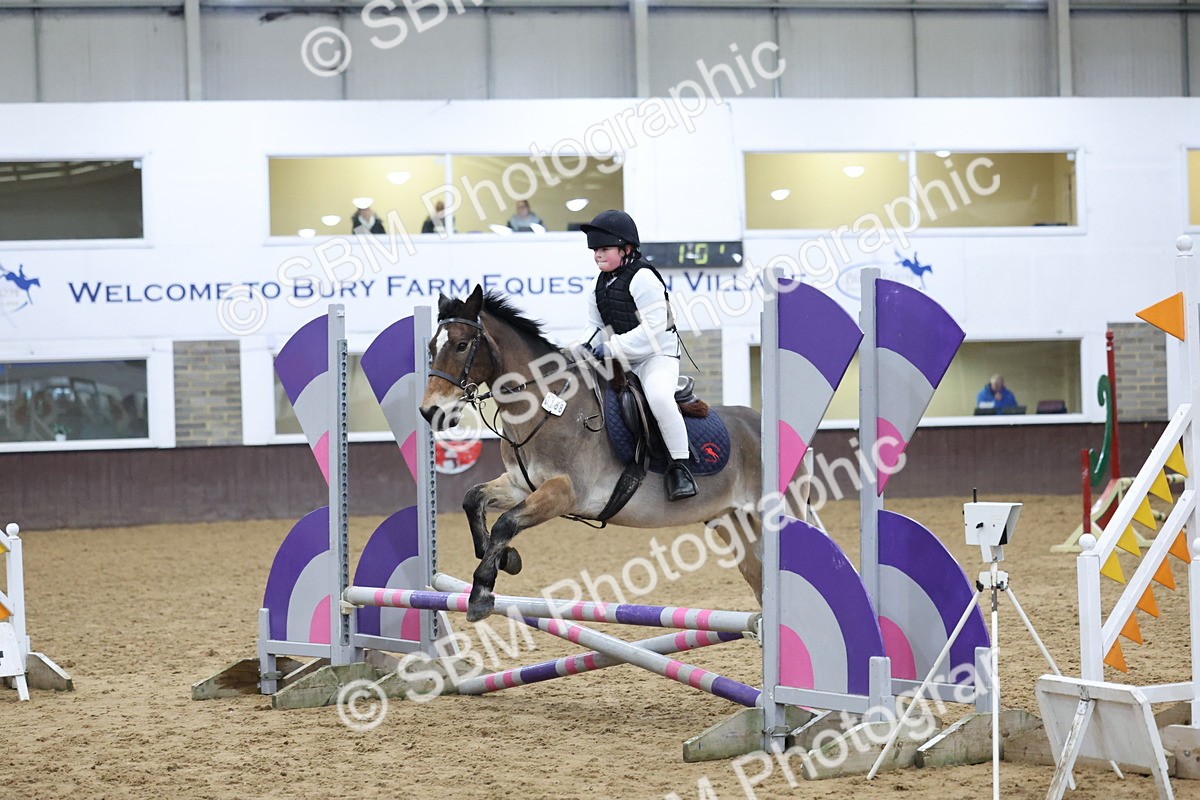 SBM_001046 - Class 3 - Christmas Tree Stakes - 60cm