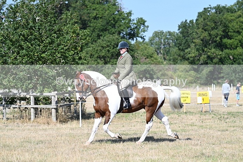WJ7_3249 - Class 8 Ridden Tack & Turnout