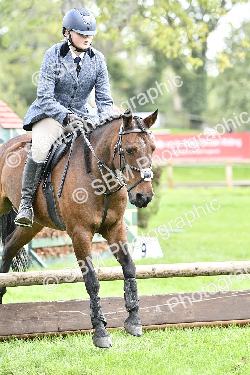 SBM_45630 - S33 - Working Hunter Pony
