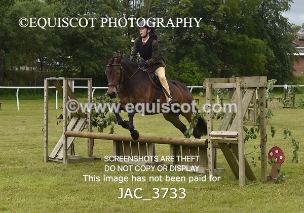 JAC_3733 - 75CM WORKING HUNTER