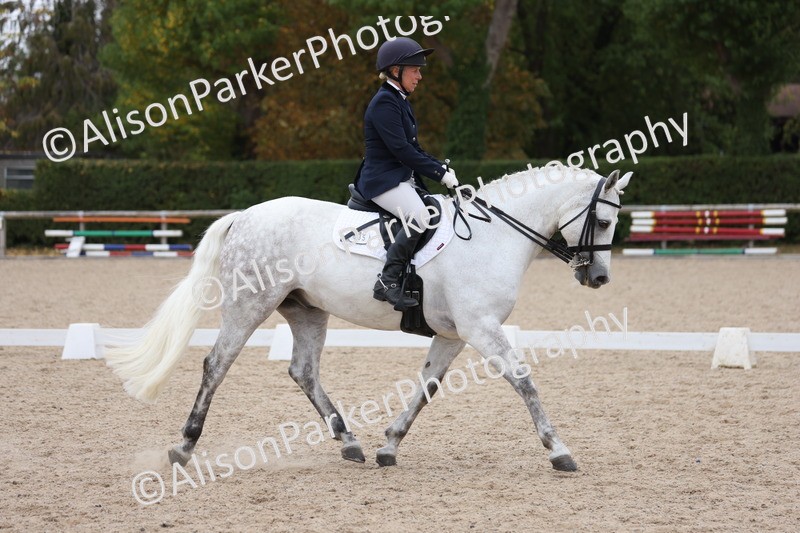 20250820-1145 - Class 17 - Elementary 4