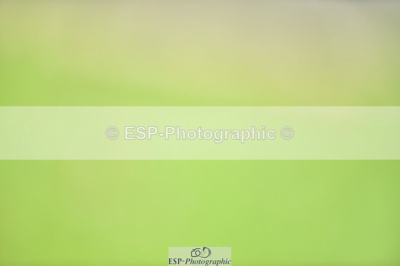 240605-104730-00101 - Cls 1 Prelim 17 SQ