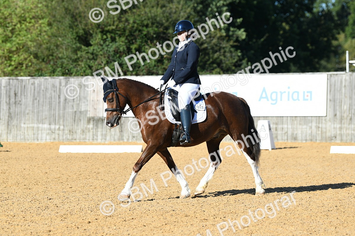 SBM_02188 - D7 Small Tour Championship Prelim 1
