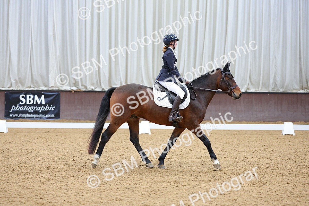 SBM_003004 - Novice