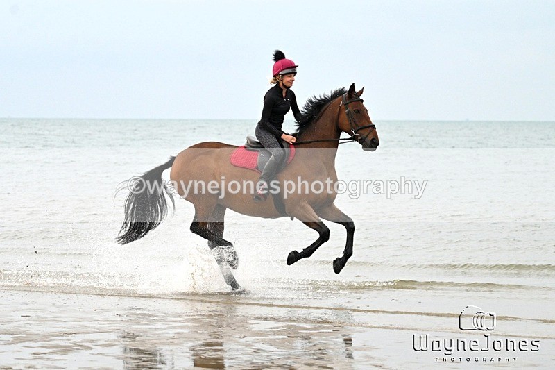 WJ7_8969 - Hayling Island Beach Shoot 22-09-24