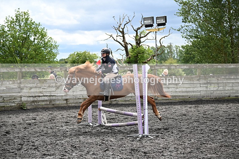 WJ6_0176 - Class 13 Novice 60cm