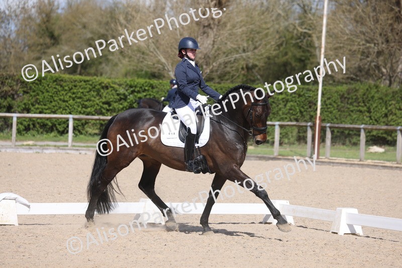 20260405-0623 - Class 7 - Medium 5