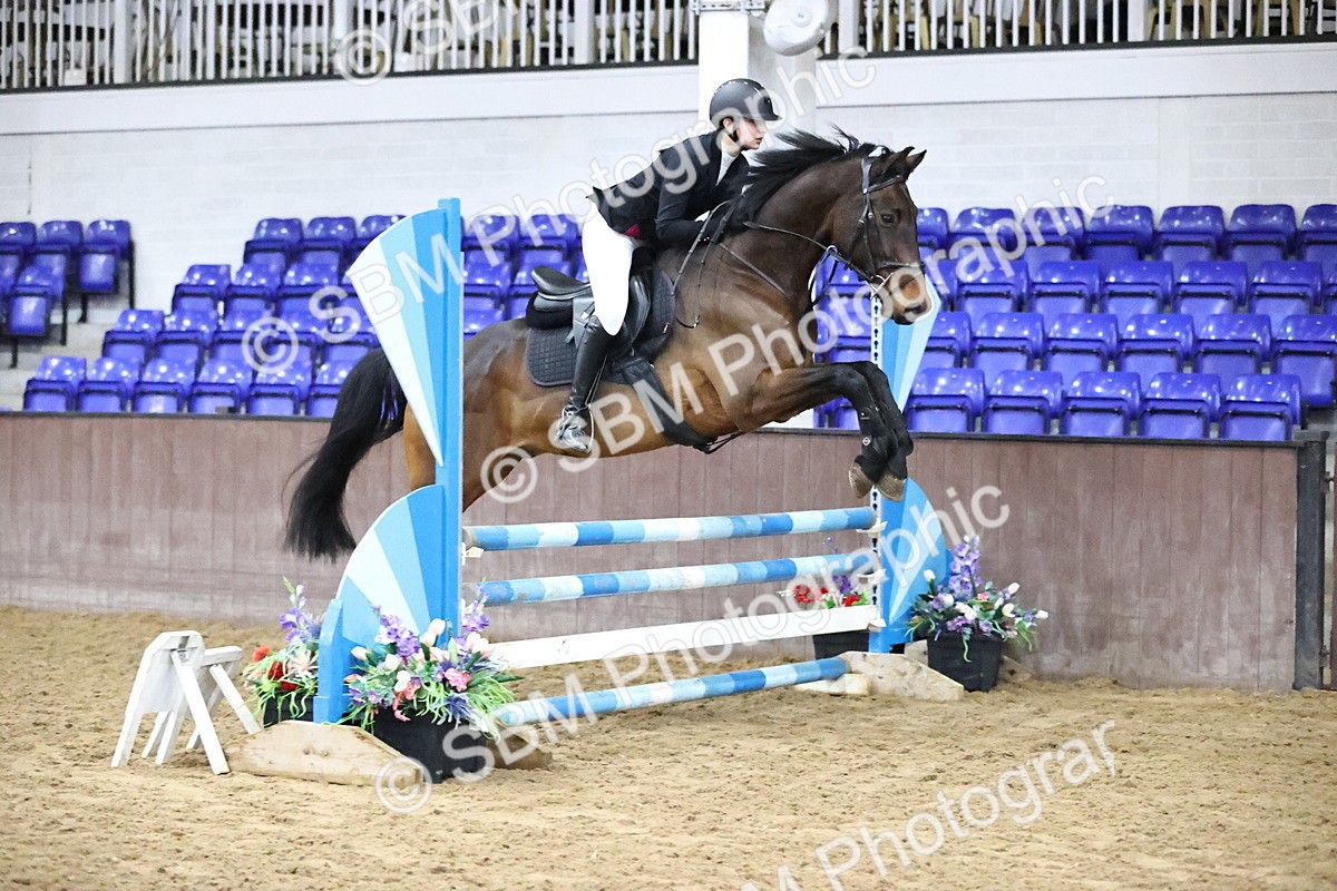 SBM_002050 - Class 8 - Senior British Novice - 90cm