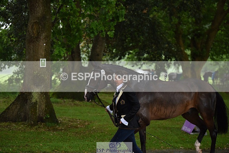 240522-151744-00232 - 375-DASSETT_ARTHALENT-Piggy_March