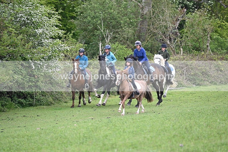 WJ6_2948 - A Camera