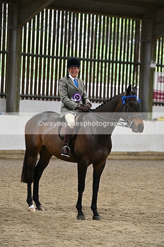 WJ7_4392 - Class 17 Ridden Cob