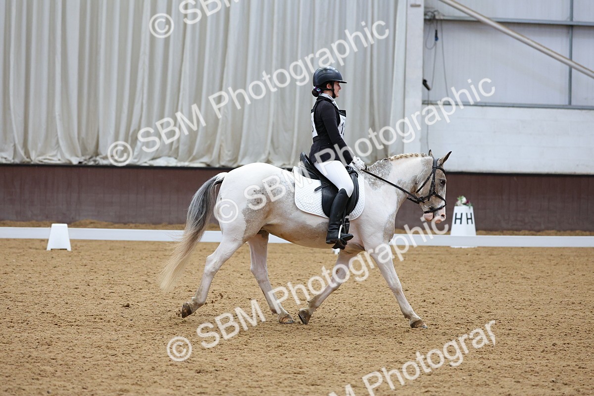 SBM_002663 - Novice