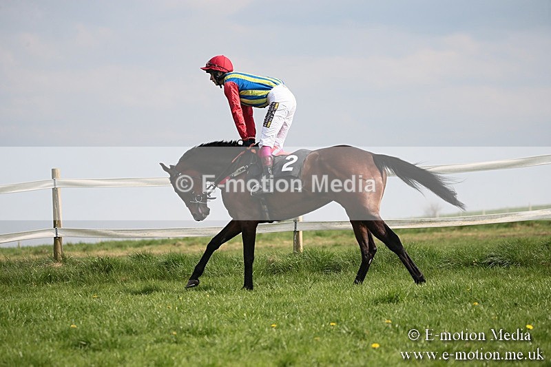 PtP 210418 403 - South & West Wilts Point-to-Point Larkhill 21/04/18
