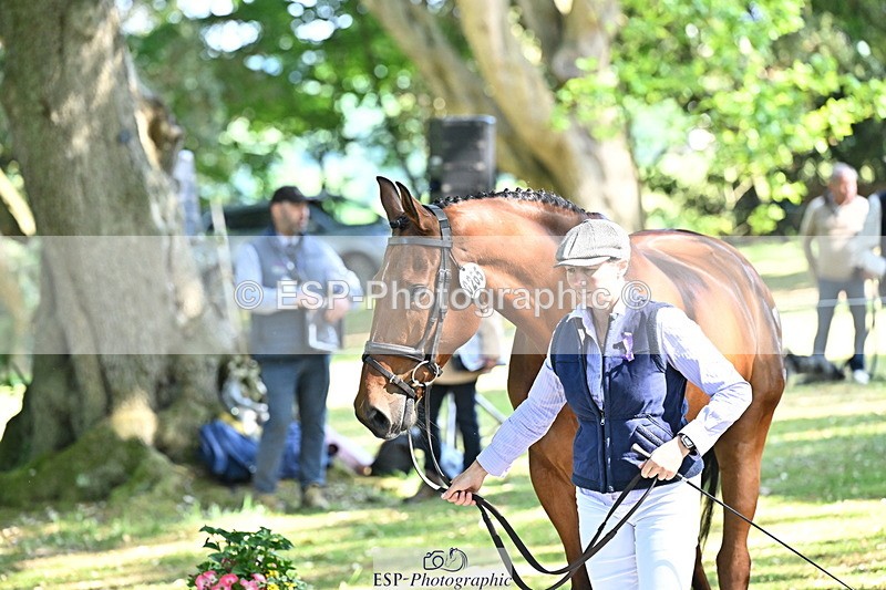 250521A-161903-01056 - C-267-Jeanette.Brakewell-PRIMIRO