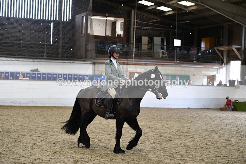 WJ5_7874 - Class 13 Ridden Part Breed