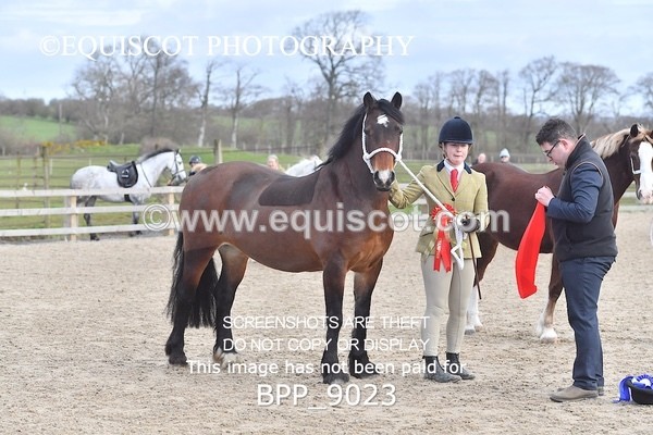 BPP_9023 - RING 2 - M&M