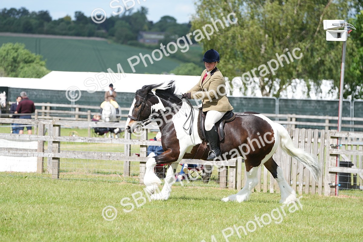 SBM_17292 - Class 107-108 - LIHS BSPS Performance Coloured Horse Pony