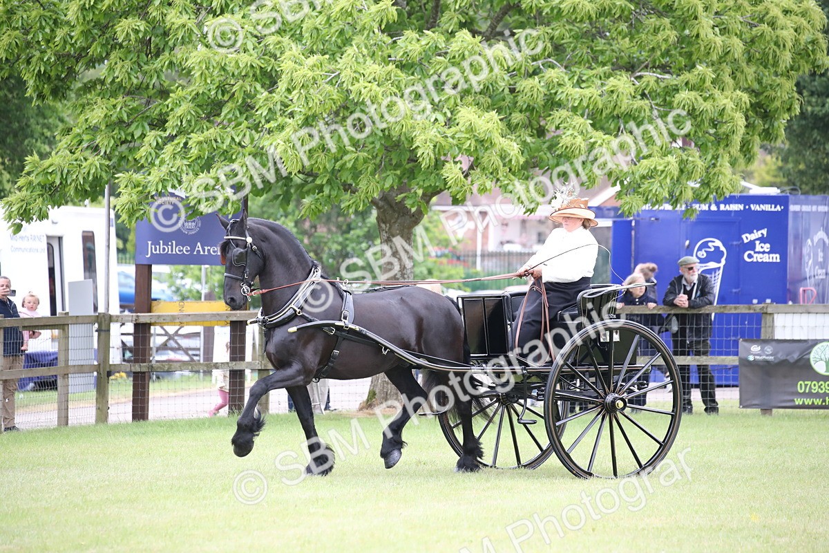 SBM_05758 - Class 12-15 - HOYS Private Driving
