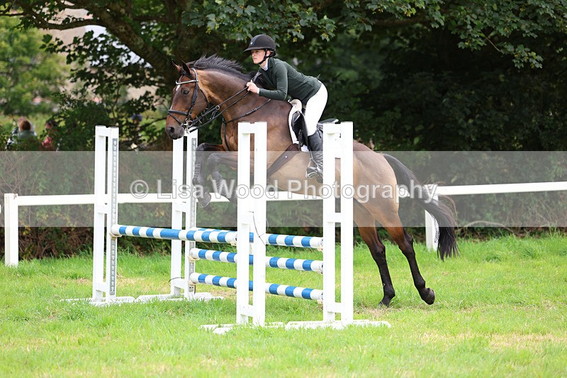 3E7A7283 - Class 5: Senior British Novice/90cm open