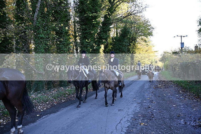 WJ6_9731 - Walk Home