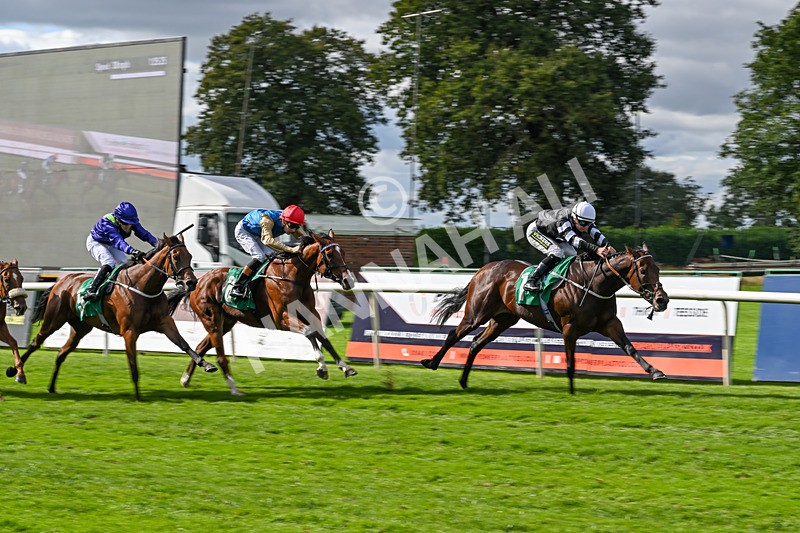 050926-Race 4-Oolong Poobong-4082 - Race 4 3.15pm British Stallion Studs EBF Fillies' Handicap