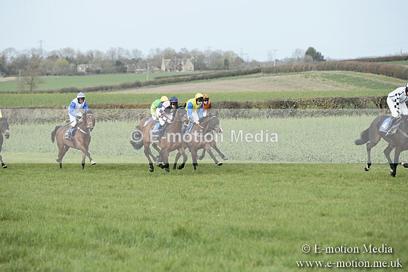 PtP 230319 282 - VWH Hunt Siddington Point-to-Point Racing 23/03/19