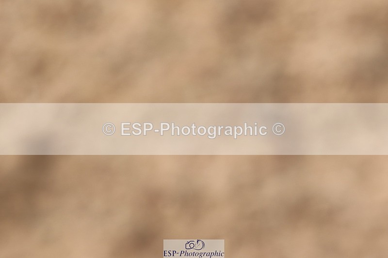 240622A-161616-14433 - Cls 19 Team Quest Prelim 18