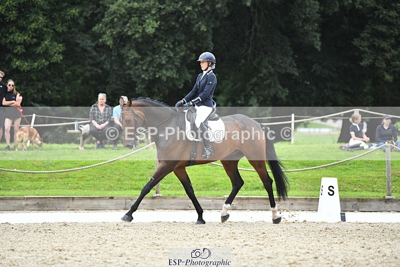 230812-124457-04205 - Cls 6 Novice Silver 12.10 to End