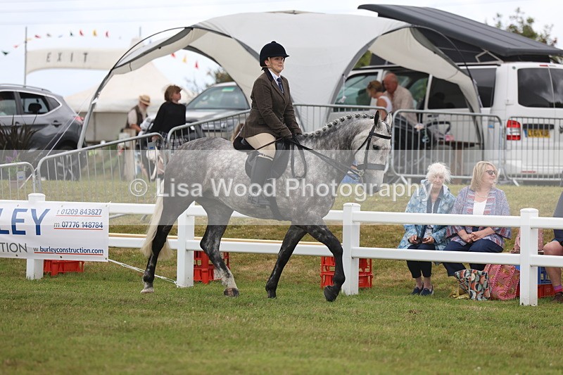 3E7A1391 - Class 9: Open Hunter