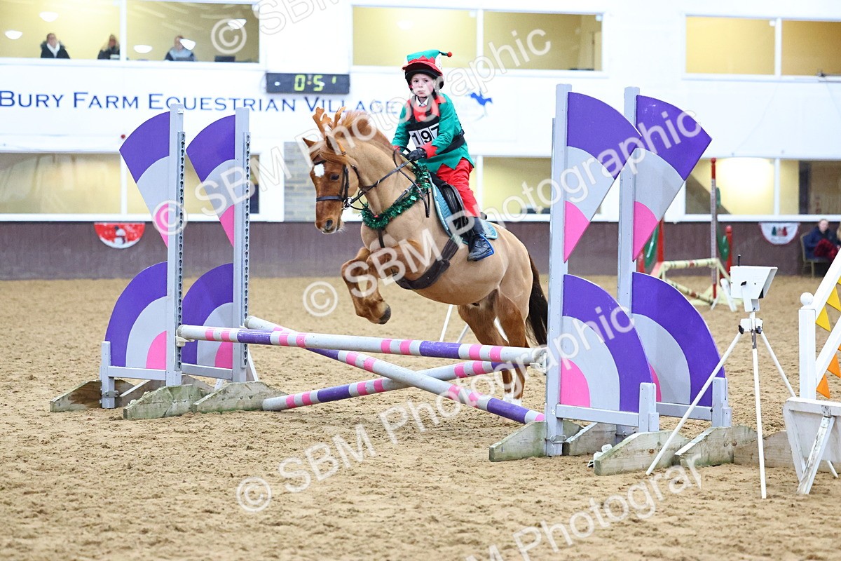 SBM_001357 - Class 3 - Christmas Tree Stakes - 60cm