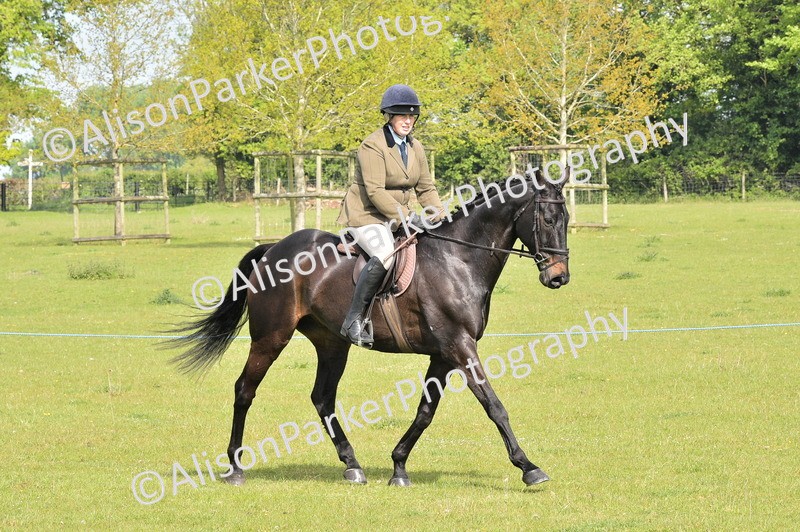 20260426-1123 - Class 19 - Retraining Of Racehorses