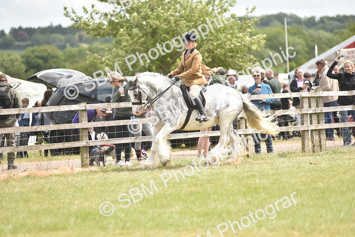 SBM_15829 - Class 115-116 - SSADL Home Produced Members Qualifier