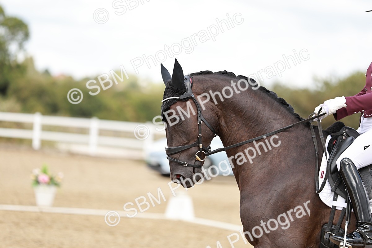 SBM_005630 - Class 5 - FEI PSG - 13.54.14.58