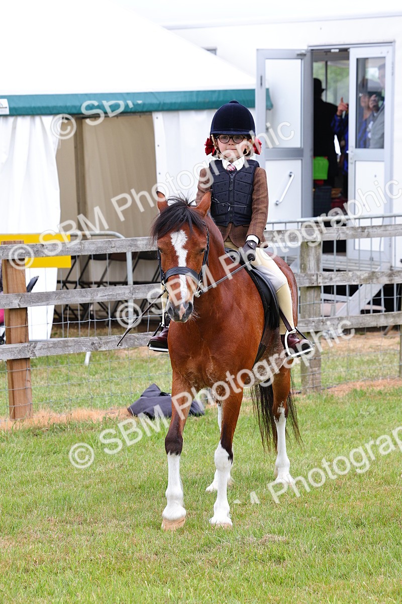 SBM_08816 - Class 42-43 - LIHS BSPS Heritage Working Sports Pony